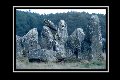 image aleatoire