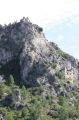 image aleatoire